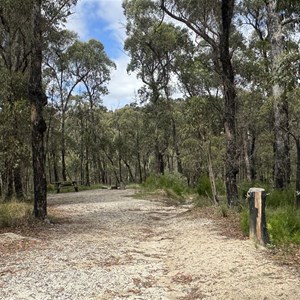 Cypress-Pine Campground