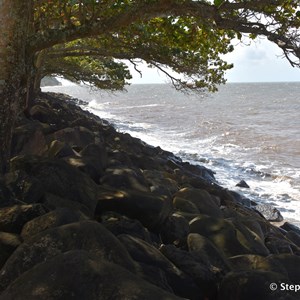 Flying Fish Point