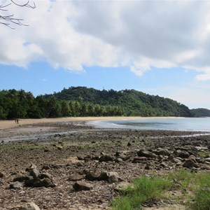 Bingil Bay looking north