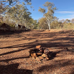 Bush Camp