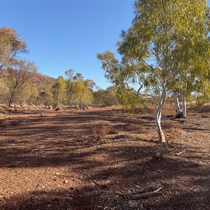 Bush Camp