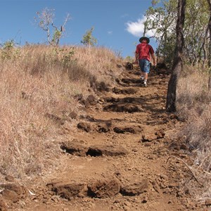 Steps up scoria slopes