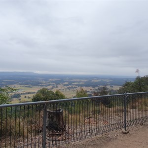 Hunter Lookout