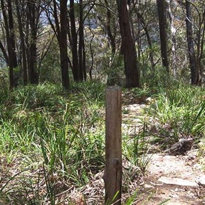 Track Sign to mine and Mt Werong Camp.