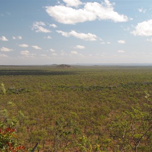 Tunnel cutting across savanna 