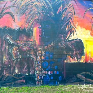 Street Art Home Hill