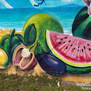 Street Art Home Hill