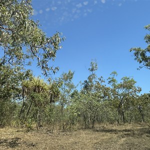 Small Camp Near Echo Gorge