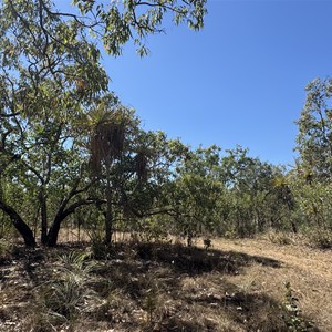 Small Camp Near Echo Gorge