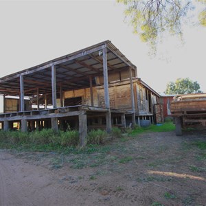 Shearing shed