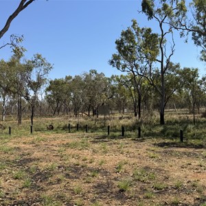 Yurrlmunji Camp