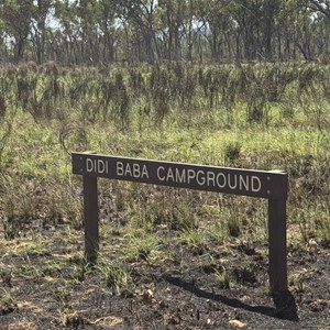 Didi Baba Camp