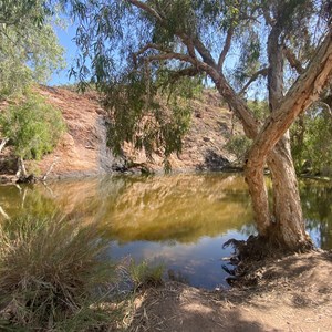 Mayiba (Middle Springs)