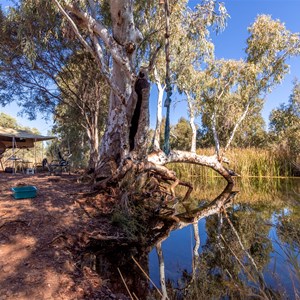 The rope swing