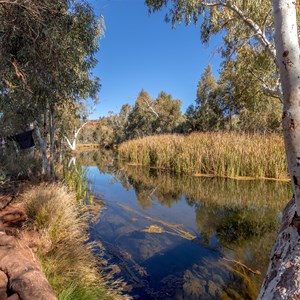 The creek