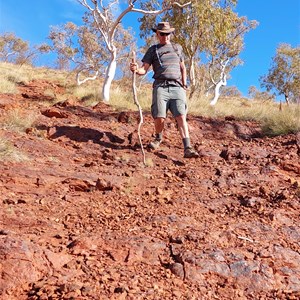 Hike Start