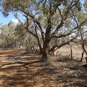 Kathleen Creek Free Camp Area