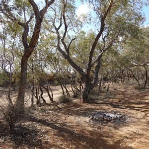 Kathleen Creek Free Camp Area