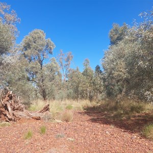 Camp At Creek Crossing