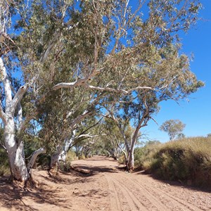 Cookes Creek