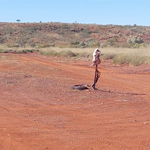Skull Springs Turnoff