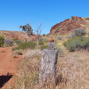 Marker Post