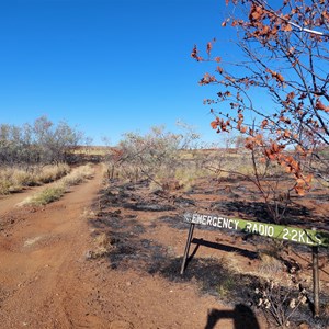 Track To Petroglyph Art Site