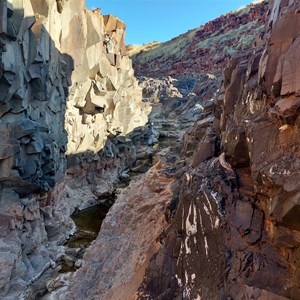 Rock Pool & Petroglyphs