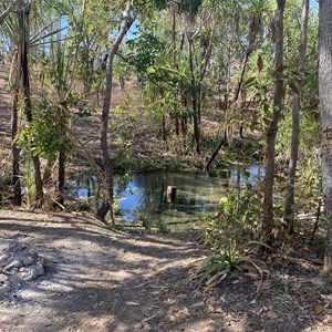 Hot Springs And Camp