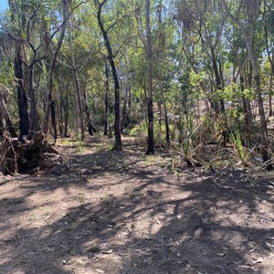 Hot Springs And Camp
