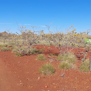 Track To Rocky Pool