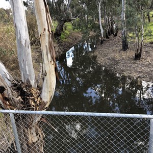 Old Cohuna Headworks