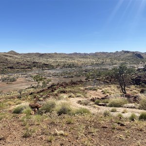 Flying Fox Lookout