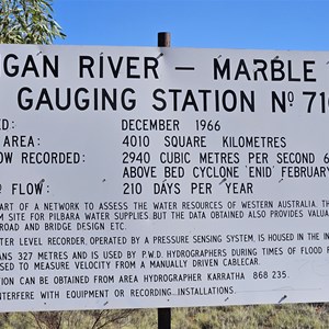 Flying Fox Lookout