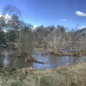 Ginninderra Creek