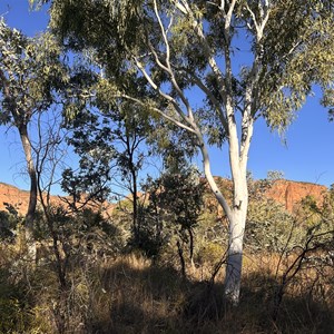 Stonehenge Walk Trail