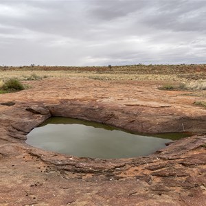 Willie Rockhole