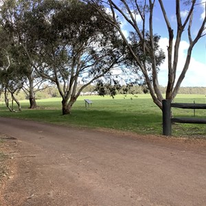 Forest Rise Chalets