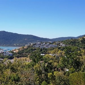 View across the hillside