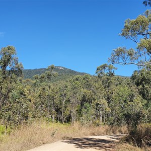 Mount Macartney