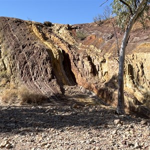 Viewing Platform