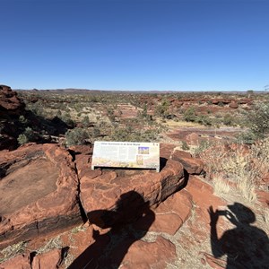 Other Survivors In An Arid World Sign