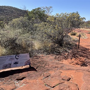 Survival In An Arid World Sign