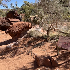 The Fortune Of Nature Sign