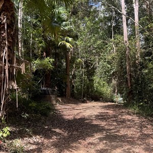 Fern Flat Camping Area