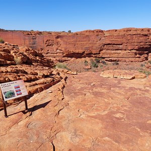 From A Crack To A Canyon Sign