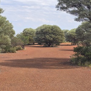 Ridge Camp (Camp Paradise)
