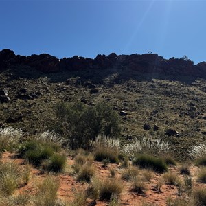 Shades Campsite