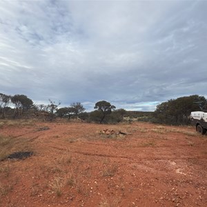 Bush Camp