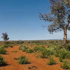 Minnie Creek Rest Area